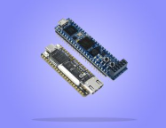 FPGA Development Boards