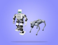 Humanoid and Biped Robot Kits